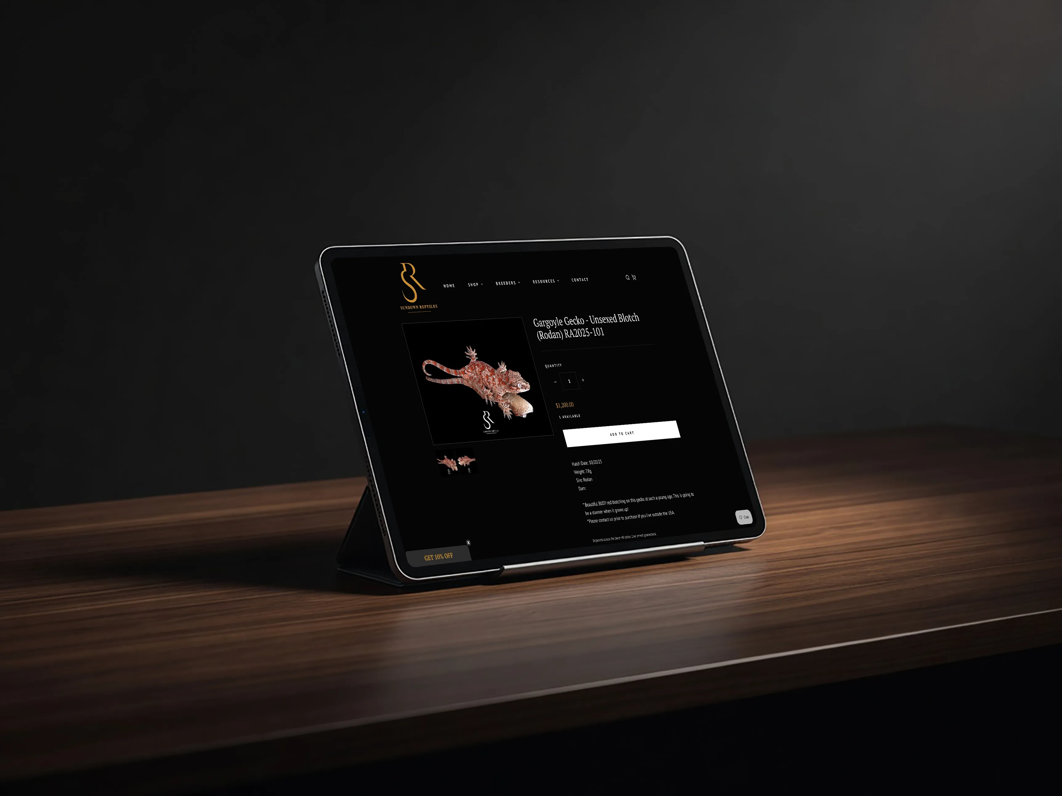 Sundown paid advertising campaigns
